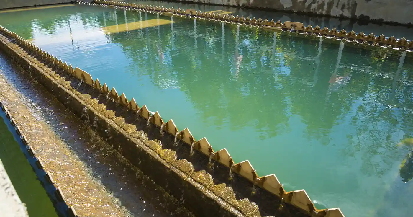 Eliminacion de olores en plantas de tratamiento de agua